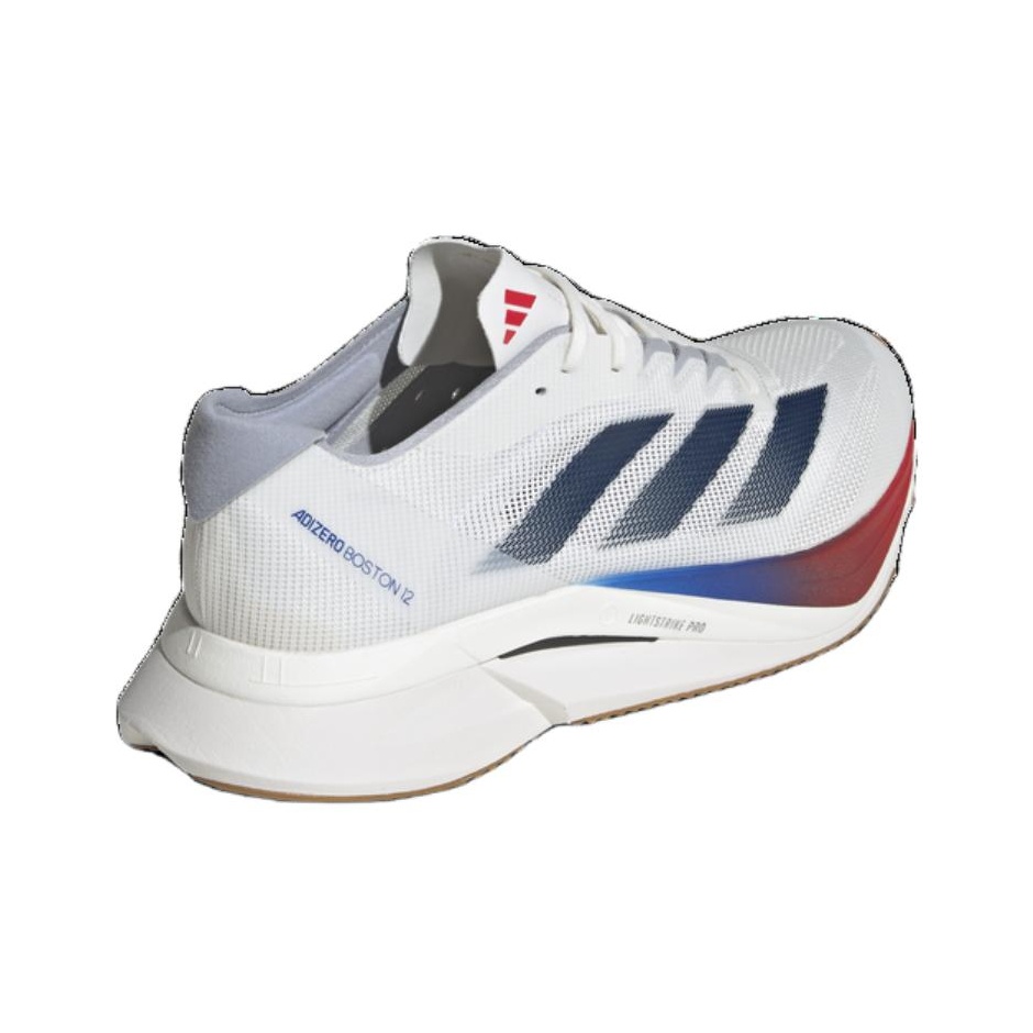 Buty do biegania Adidas Adizer – Adidas Shoes Adizero Boston 12 recenzja i cena